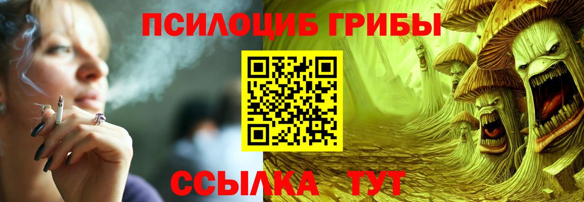 Галлюциногенные грибы ЛСД  Псилоцибиновые грибы мухоморы  Ноябрьск  Вход с VPN 